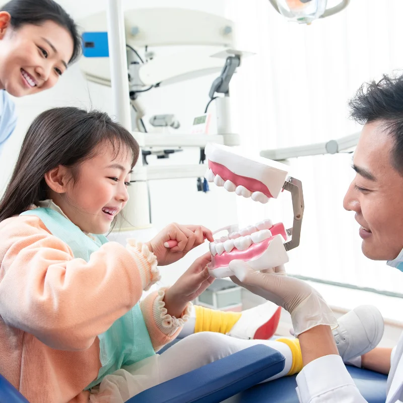 Young child learning about teeth using a dental model with a dentist during a family dentistry visit at Riverfront Dental in Cambridge Ontario